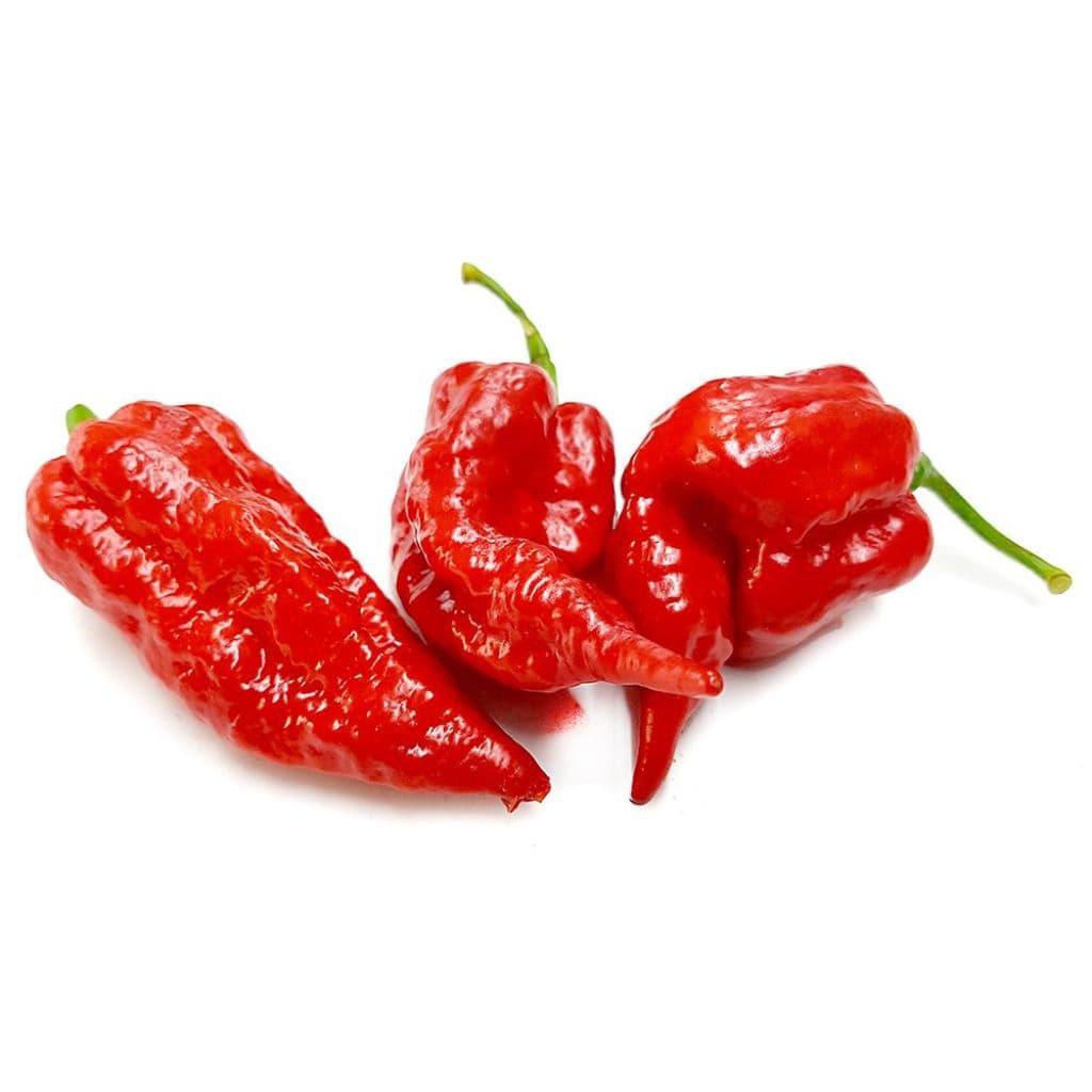 Naga Viper Pepper